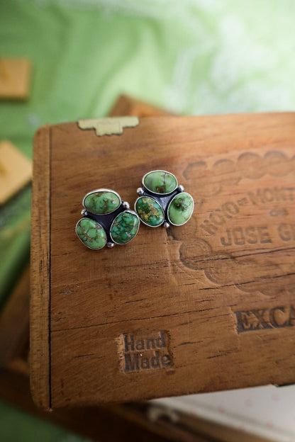 Earrings E