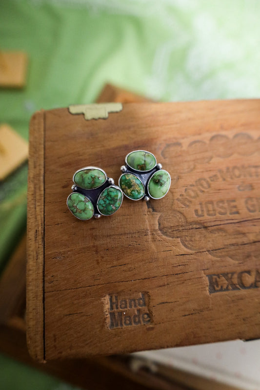Earrings E