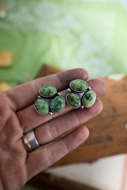 Earrings E
