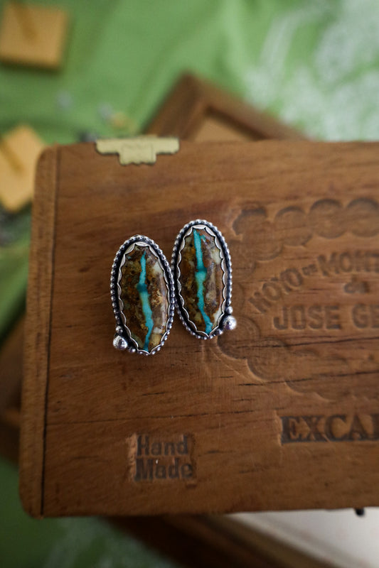 Earrings F