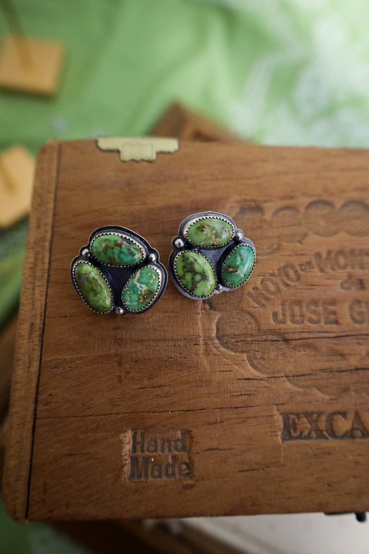 Earrings B