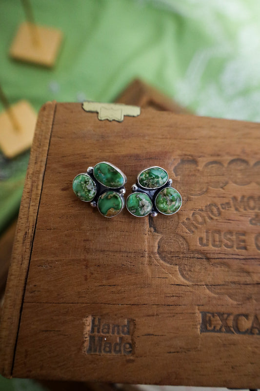 Earrings I
