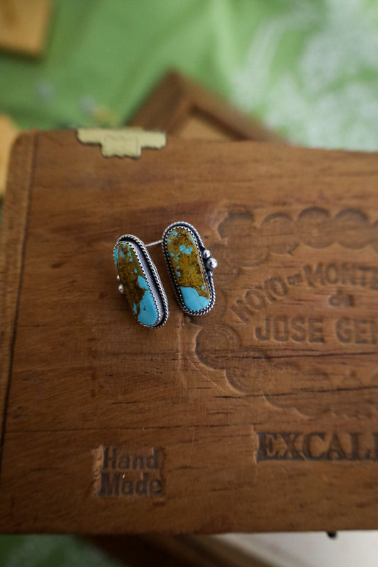Earrings D