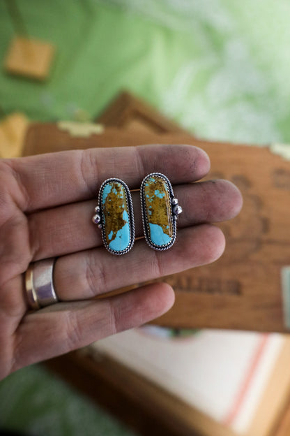 Earrings D