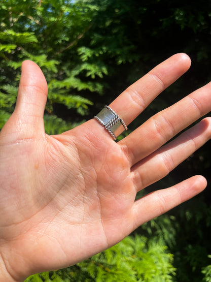 The Vinity Ring