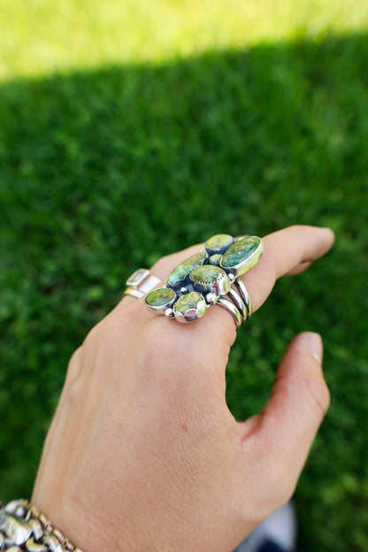 Baxter Ring, Adj 6-10