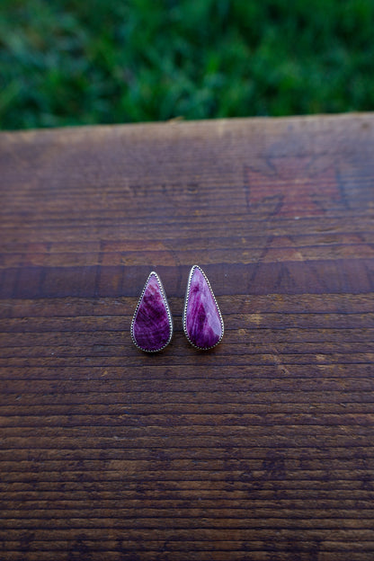 Earrings F