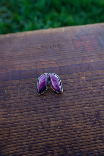 Earrings I